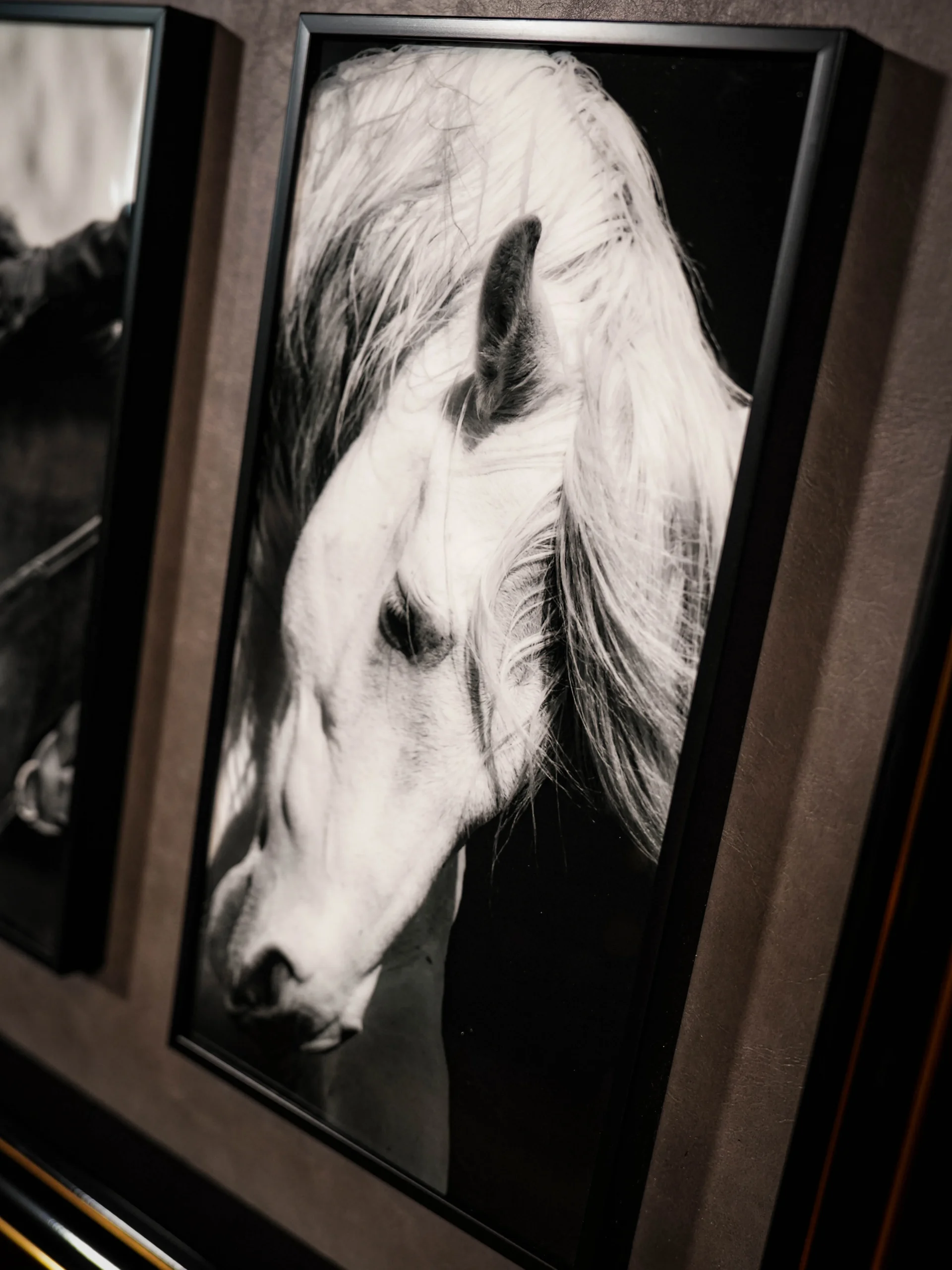 LE PADDOCK - Image 22