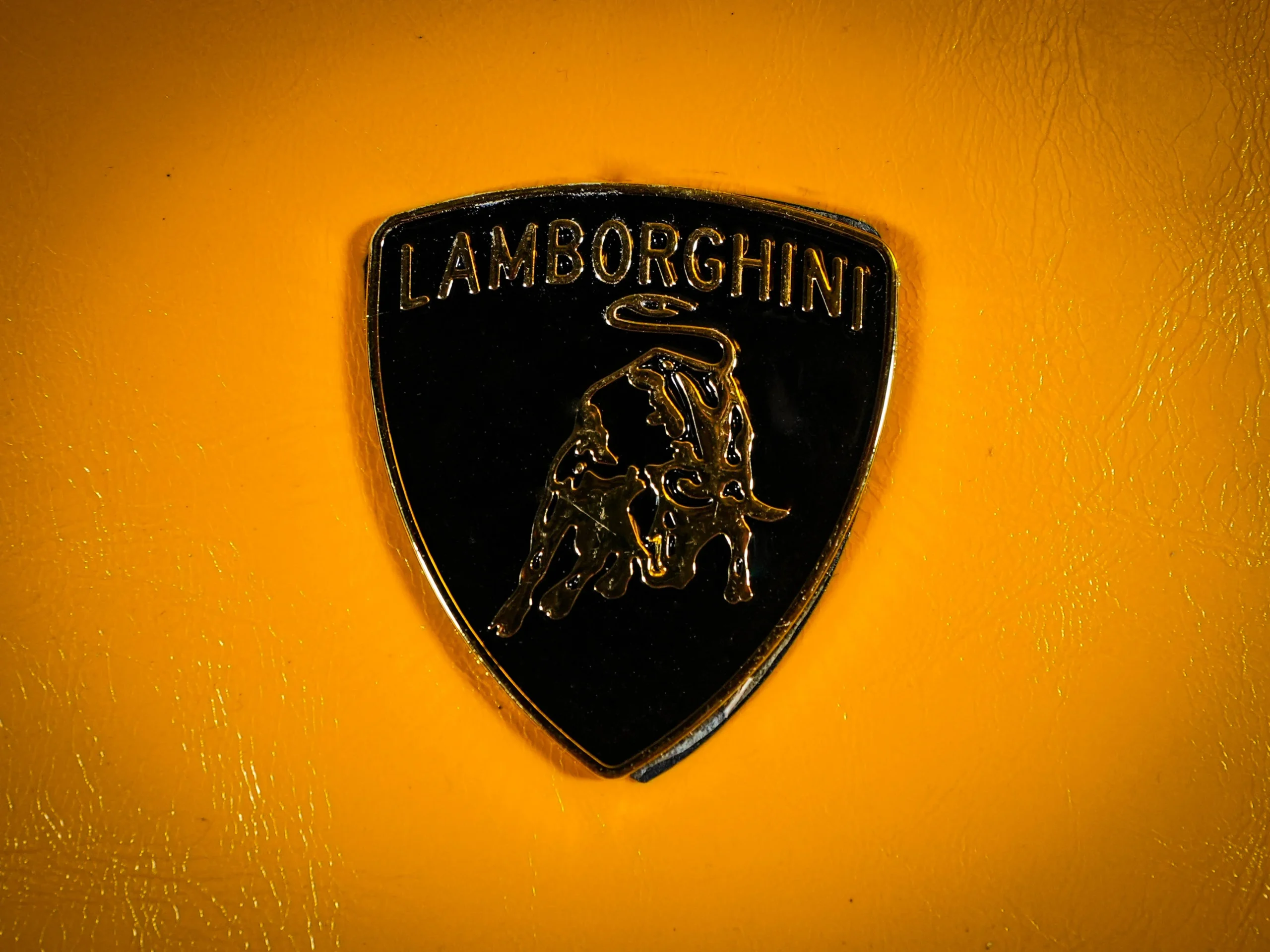LAMBORGHINI "ESAGONO ORO" - Image 10