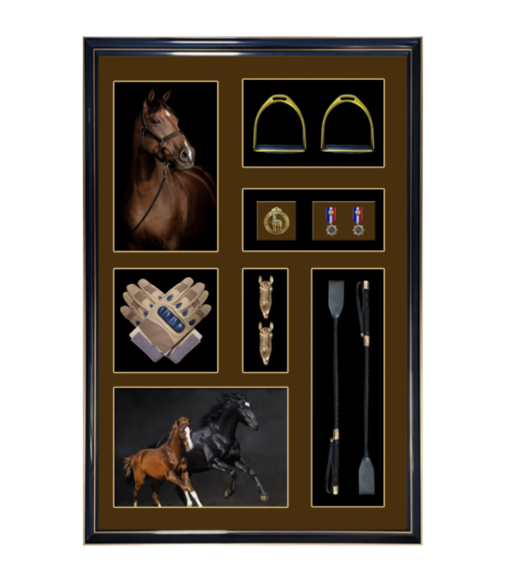 EQUESTRIAN "LEGACY"